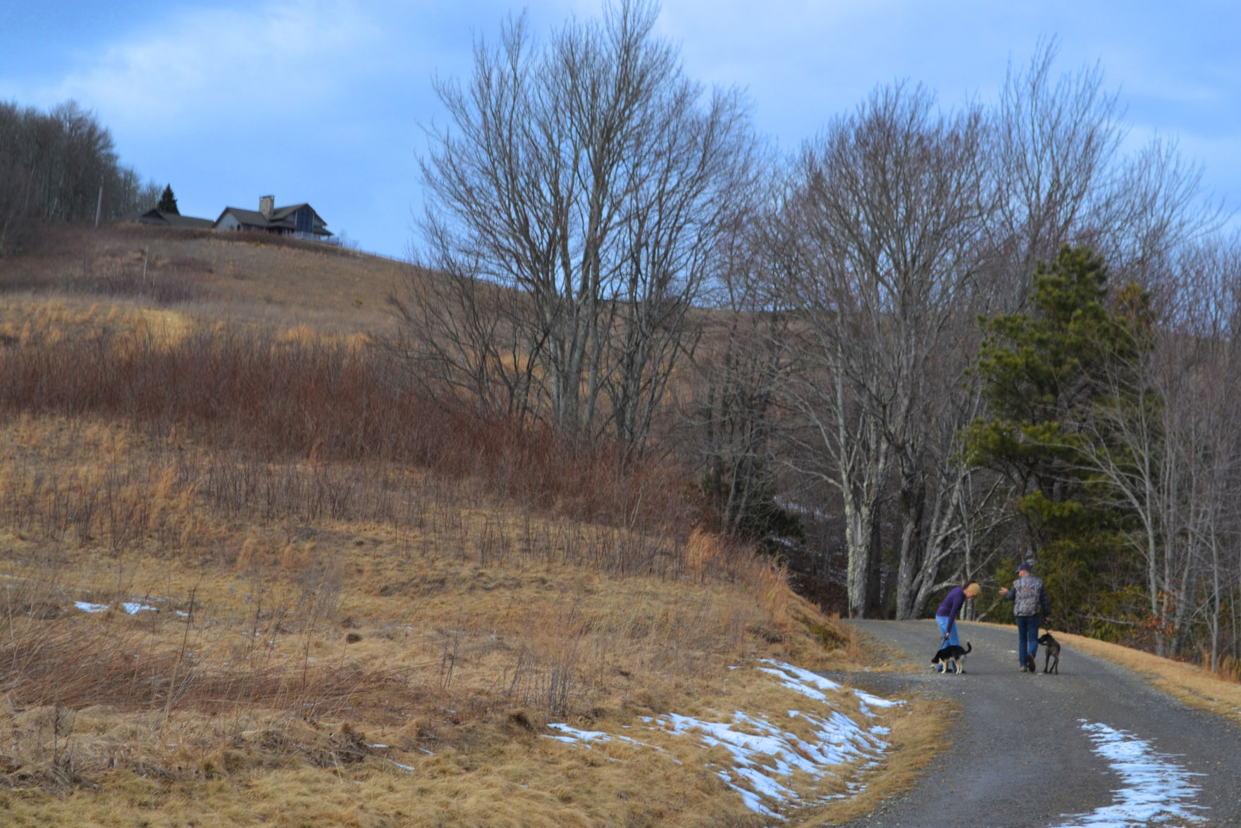 Hikers at Purchase Knob